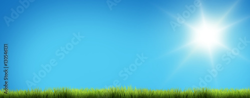 light blue sunny sky green grass 3D render