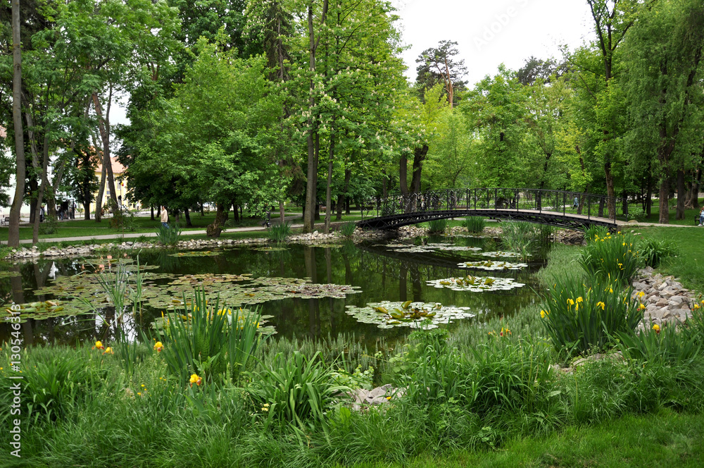 a lake and a bridge in the center of the park