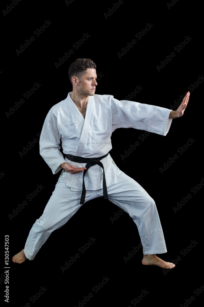 Karate player performing karate stance