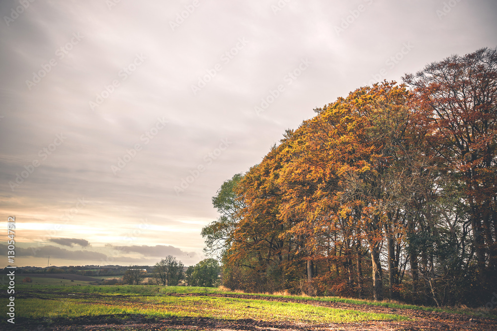 Countryside landscape in the autumn season