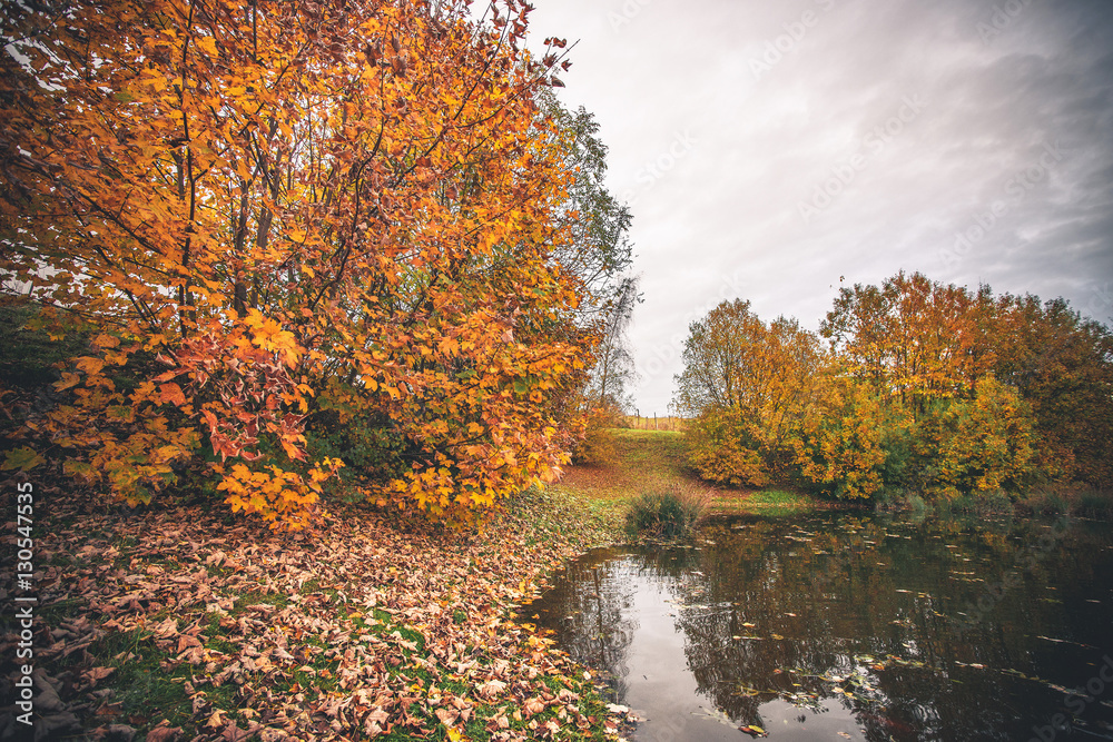 Colorful trees by a small pond in the fall