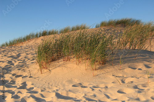 Dunes at the sunset in Guincho beach in Cascais, Portugal