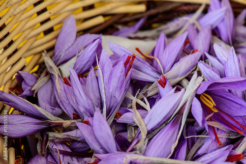 fiori di zafferano