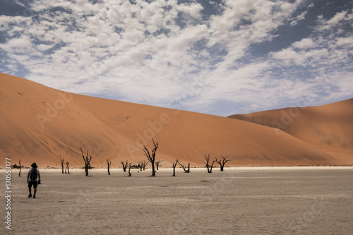 Beautiful landscape of Deadvlei  Sossusvlei  Namibia