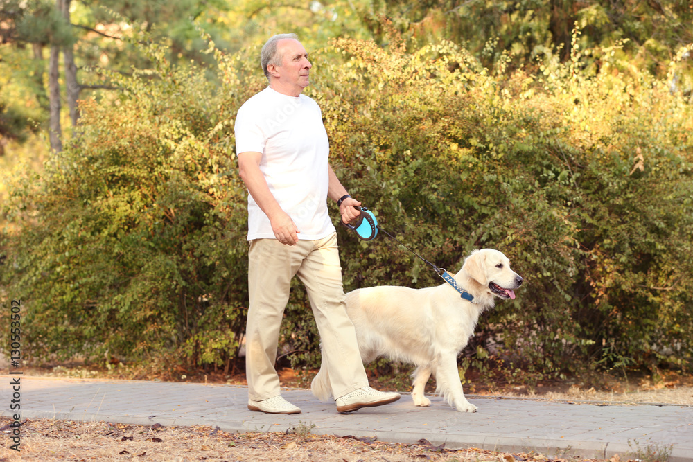 Senior man and big dog walking in park Senior man and big dog walking in park