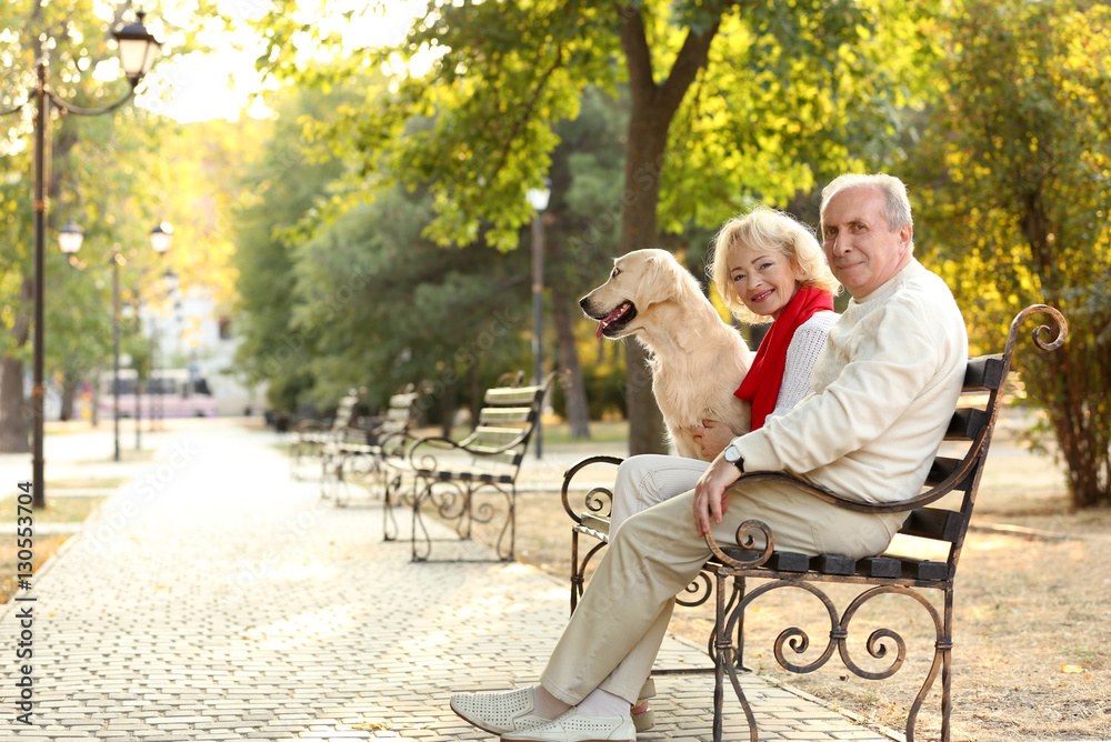 Fototapeta premium Senior couple and big dog sitting on bench in park