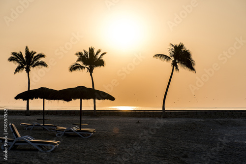 Amazing Sunset palms sun lounger beach Salalah Oman 2