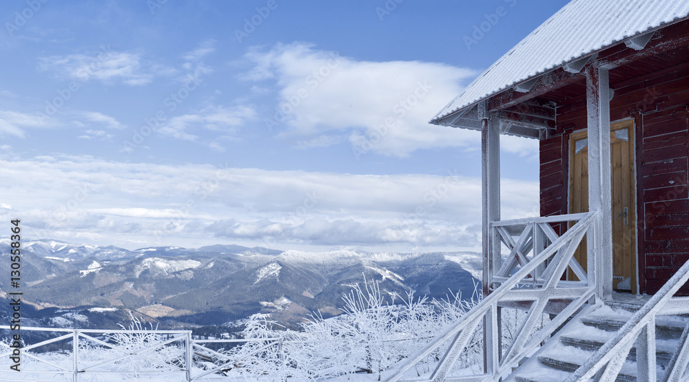 Fototapeta premium Winter in the mountains and coniferous forest