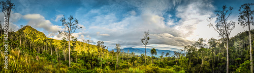 Nature in Sara village