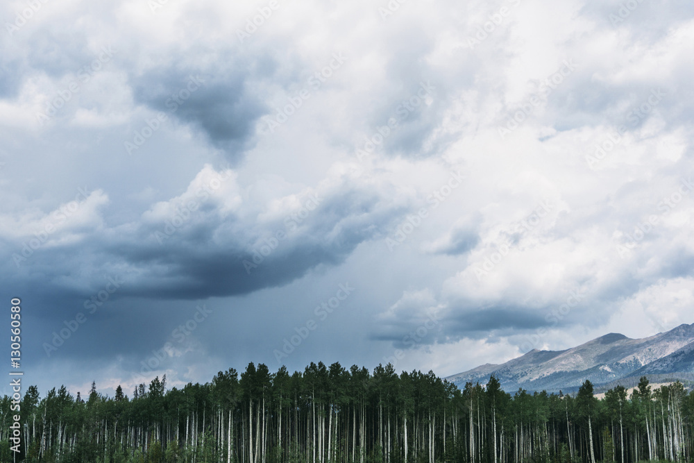 Scenic view of trees against cloudy sky