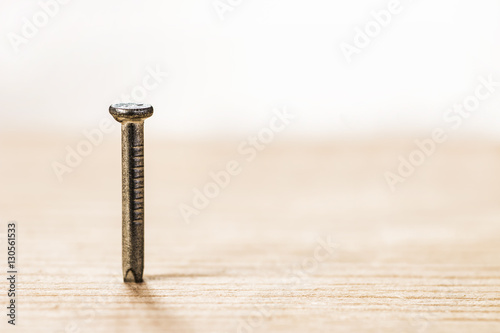 hobnail / metal nail in wood photo