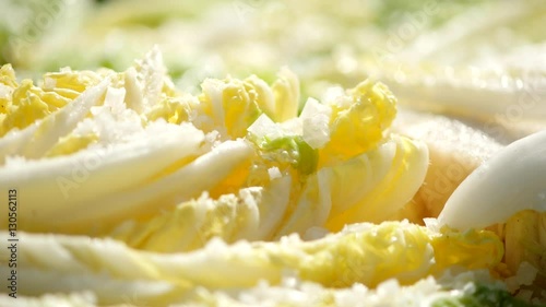 Salt pickled cabbage with droping salt.
