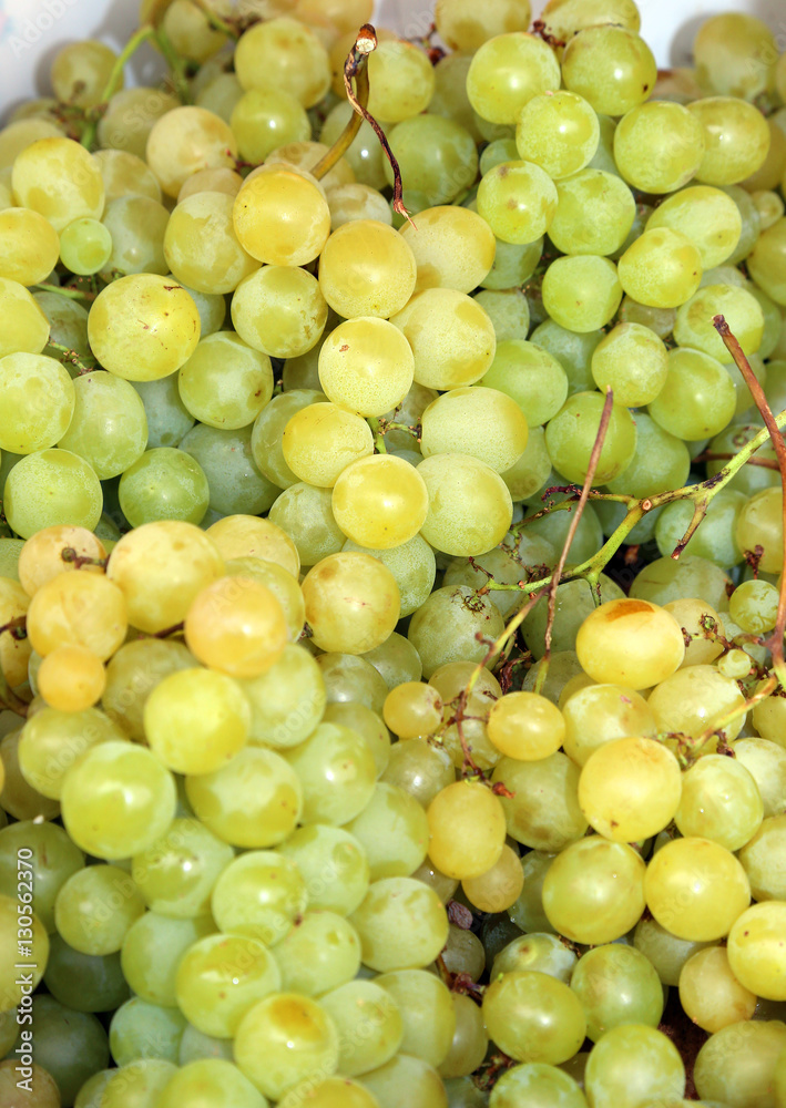 bunch of white grapes just harvested