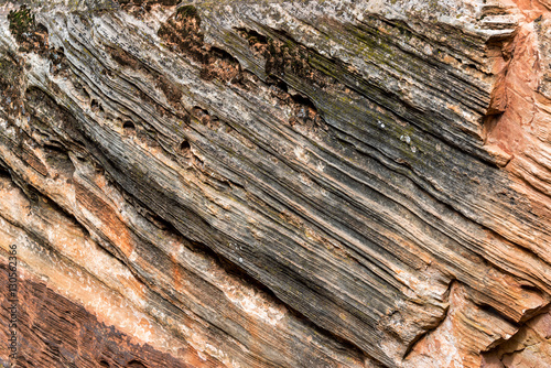 Closeup Details in Zion National Park