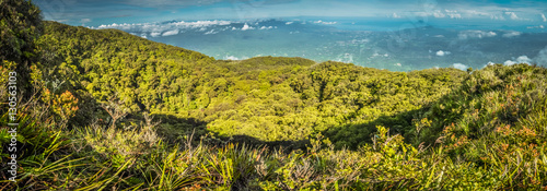 Wilderness in North Sulawesi photo