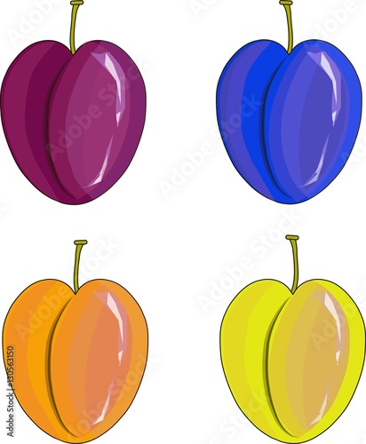Hand drawn painting purple, orange, yellow, blue plums on white, stock vector illustration