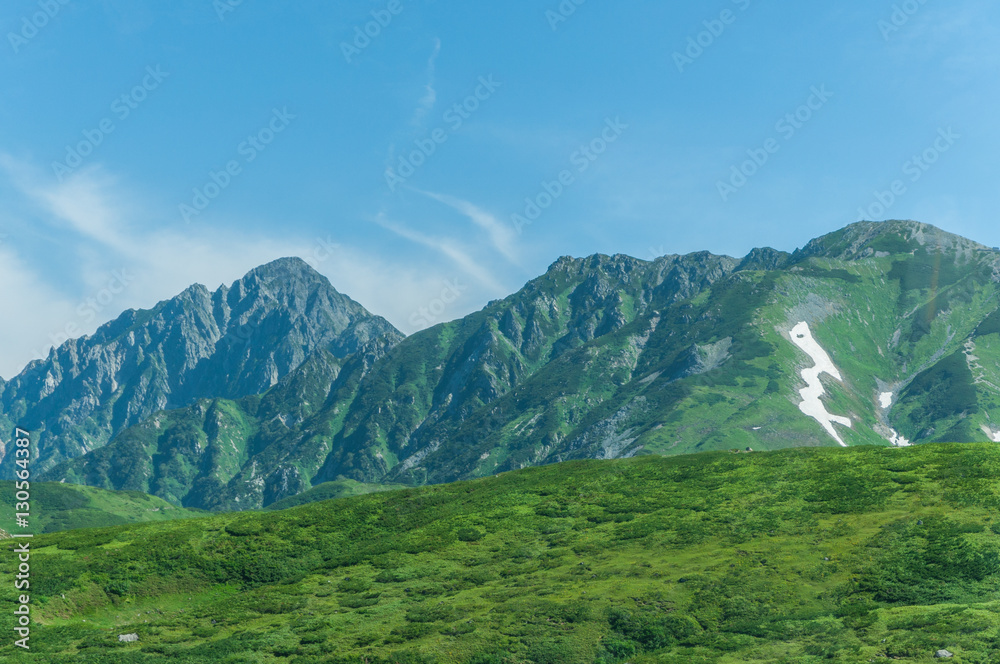 Obraz premium Panoramic view of Mountains in Summer