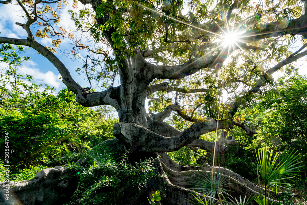Fototapeta premium Hofi Pastor Nature Park