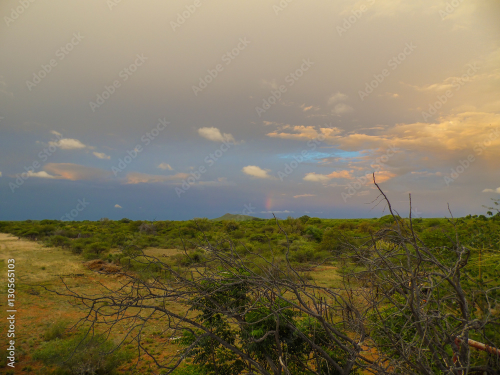 Fototapeta premium a rainy day in south africa