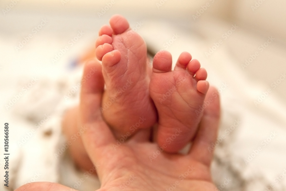 Infant heels in mother's and fathers hands Infant heels in mother's and fathers hands