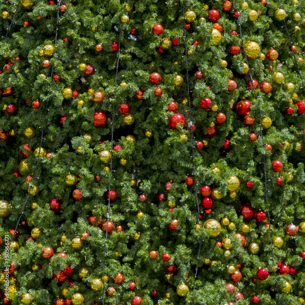 Detail from a large christmas tree showing the green foliage plus red and gold balls as decoration. Would make a great christmas background or semi abstract image Detail from a large christmas tree showing the green foliage plus red and gold balls as decoration. Would make a great christmas background or semi abstract image