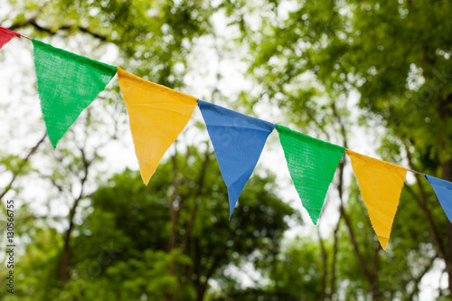 Color bunting flags