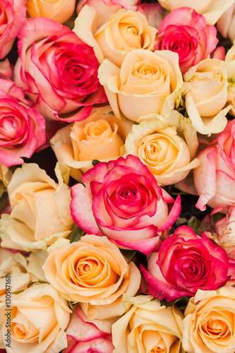 Pattern roses background