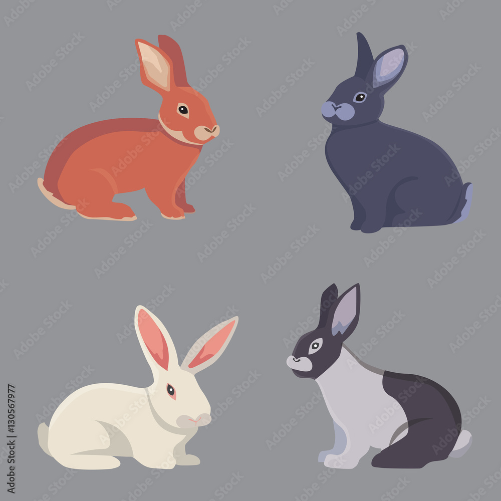 Fototapeta premium vector illustration of cartoon rabbits different breeds. Fine bunnys for veterinary design