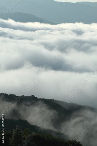 雲海
