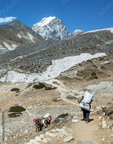 Yaks caravan on the trek at the foot of mount Everest (8848 m) near Dughla village - Nepal, Himalayas photo