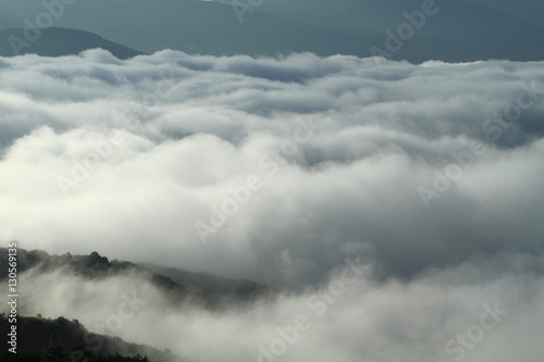 雲海