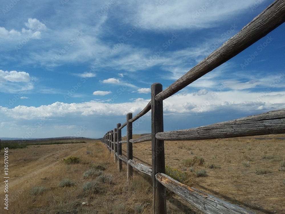 Wyoming Fence Line