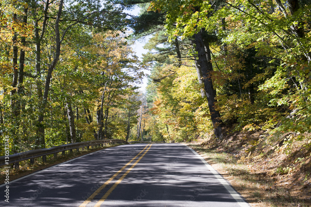 Fall Road