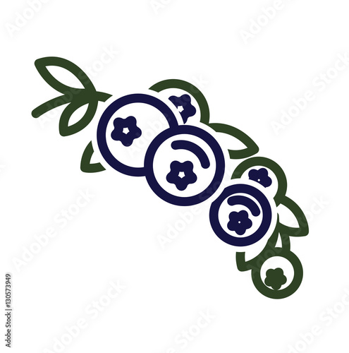 blueberry