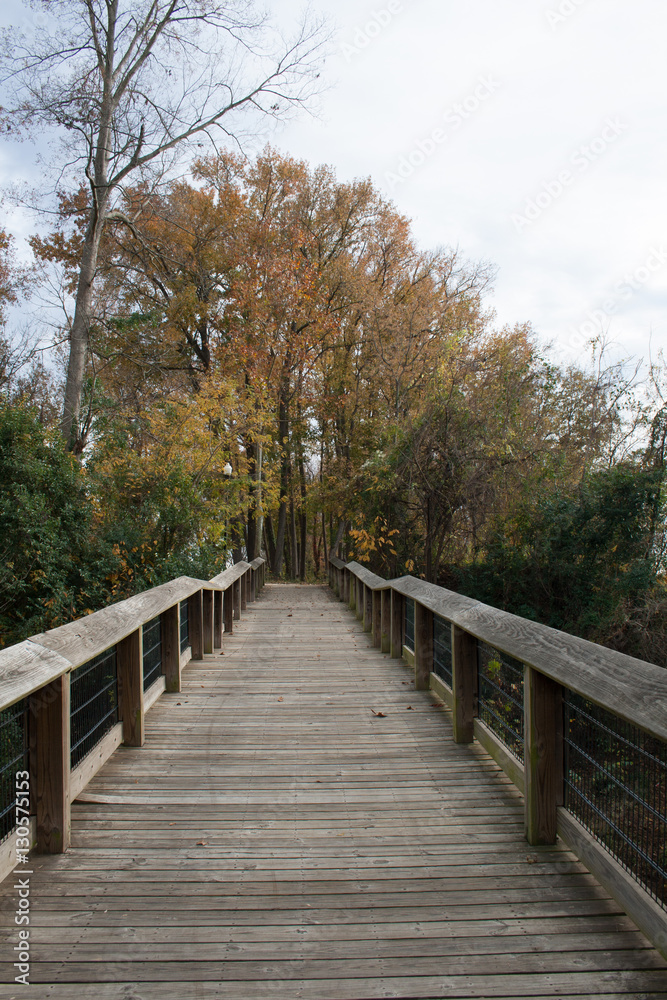 Wooden Walkway