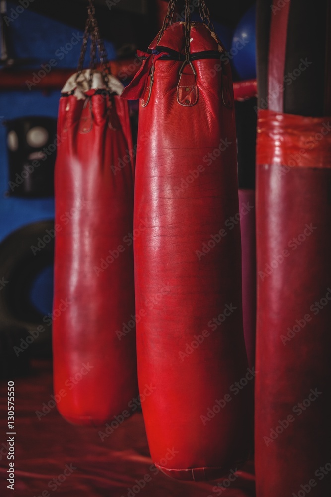Punching bags hanging