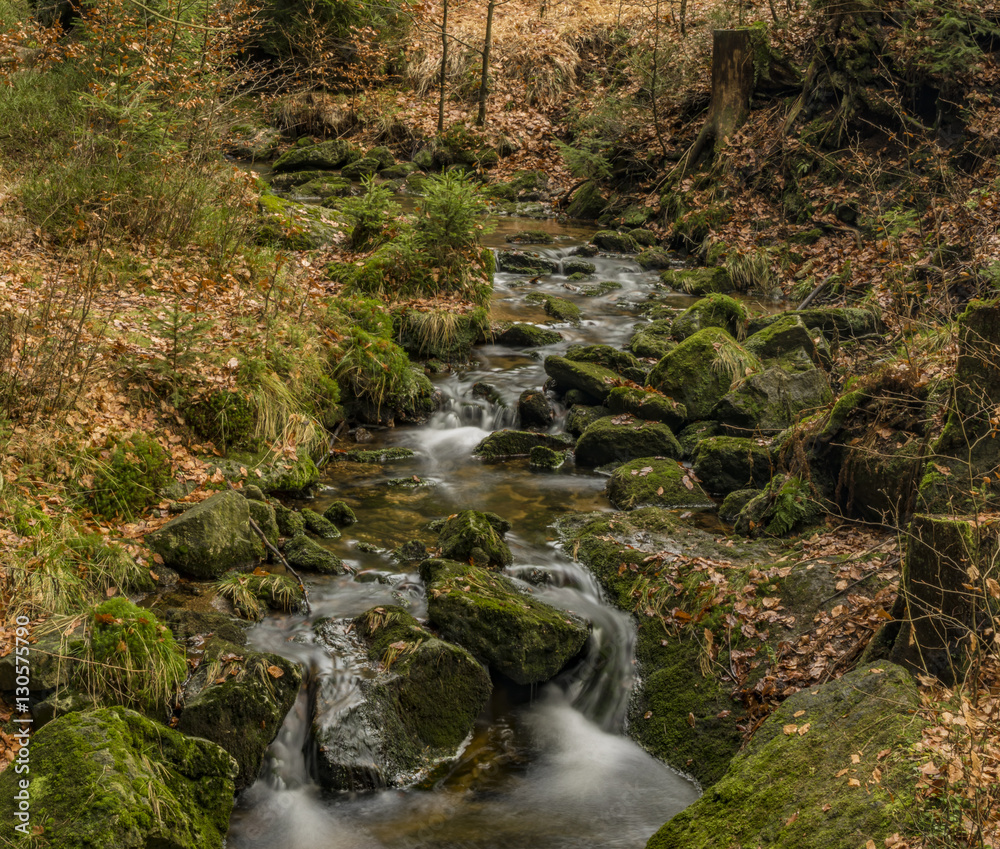 Creek Kamenice in Jizerske hory mountains Creek Kamenice in Jizerske hory mountains
