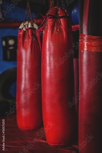 Punching bags hanging © WavebreakMediaMicro