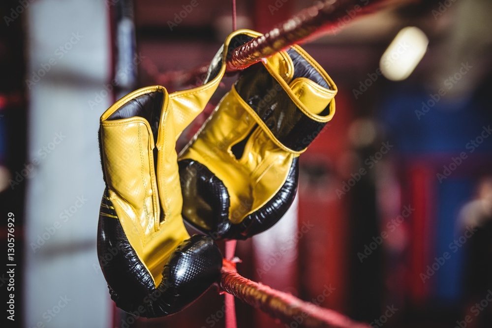 Yellow boxing gloves hanging off the boxing ring Stock Photo | Adobe Stock