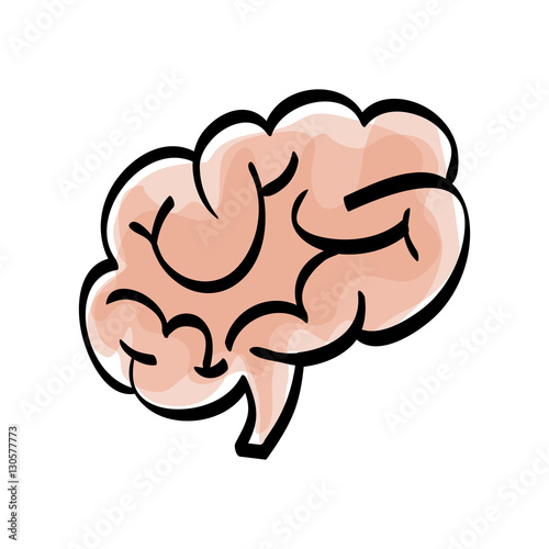 Human brain scribble icon vector illustration graphic design