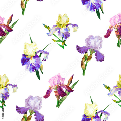 Fototapeta Naklejka Na Ścianę i Meble -  Seamless pattern with colored irises