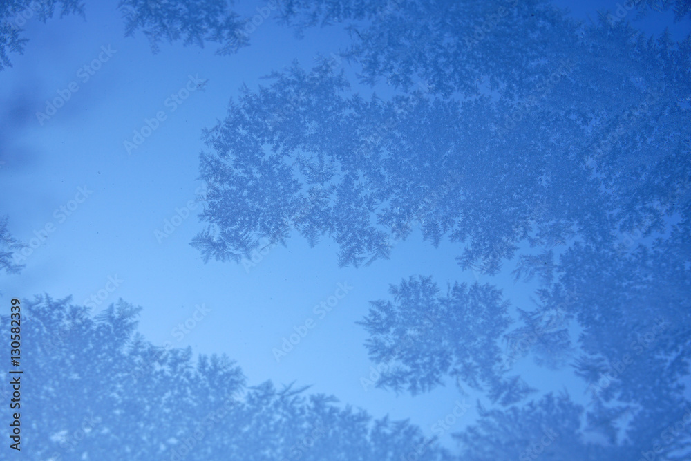 Obraz premium blue ice flower on window in winter
