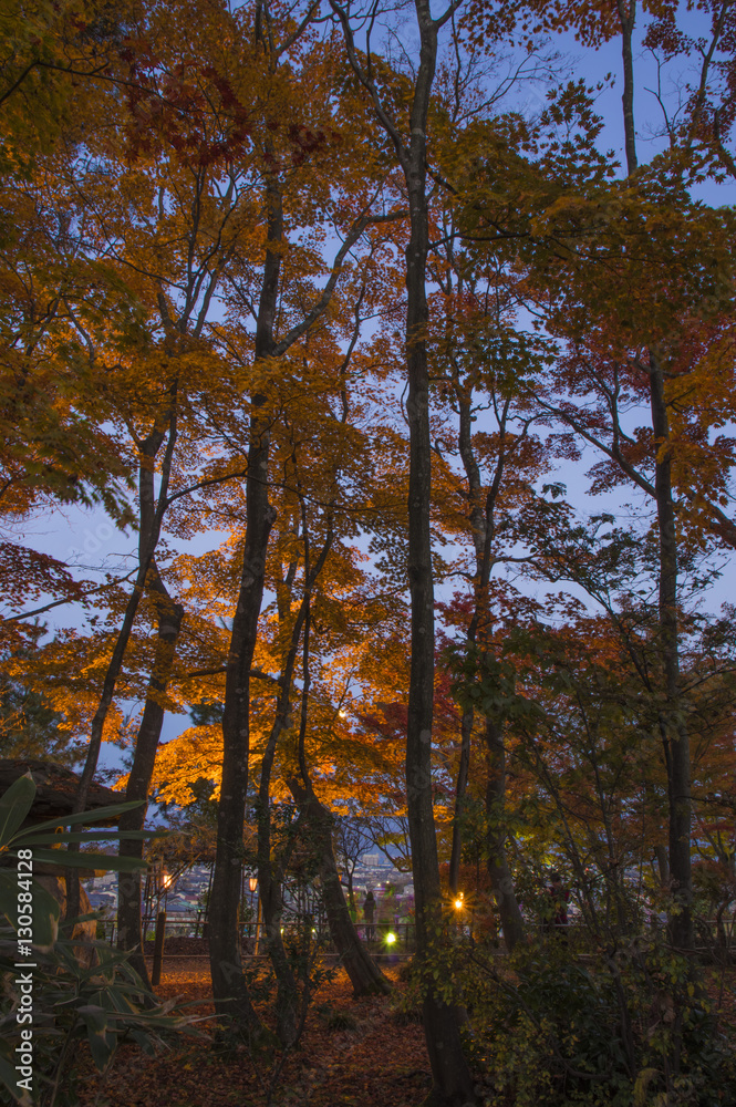 Fototapeta premium japanese garden in autumn