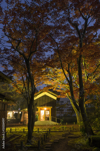 japanese garden in autumn © conanedogawa