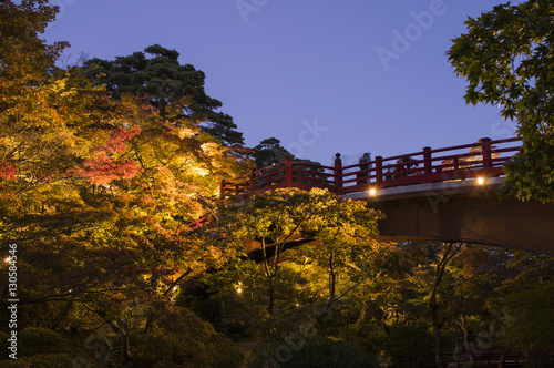 japanese garden on the bridge in autumn