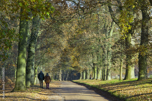 Bild auf Leinwand Walking at Felbrigg  Norfolk UK Autumn Colour