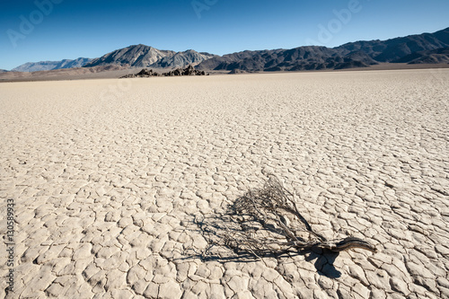 Dead Scrub at the Racetrack in Death Valley, CA, USA