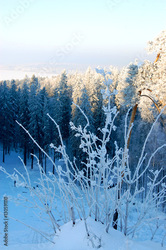 the beauty of winter nature