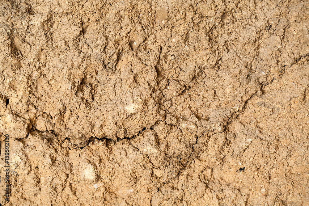 Soil texture