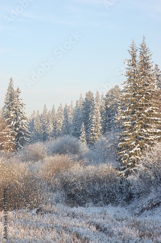 the beauty of winter nature © vladimirvu